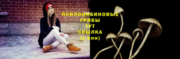 а пвп мука Аркадак