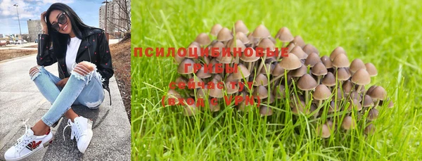 а пвп мука Аркадак