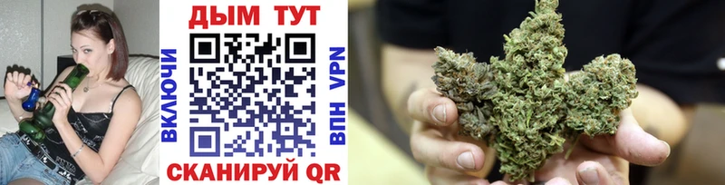 как найти закладки  Строитель  Бошки марихуана SATIVA & INDICA 